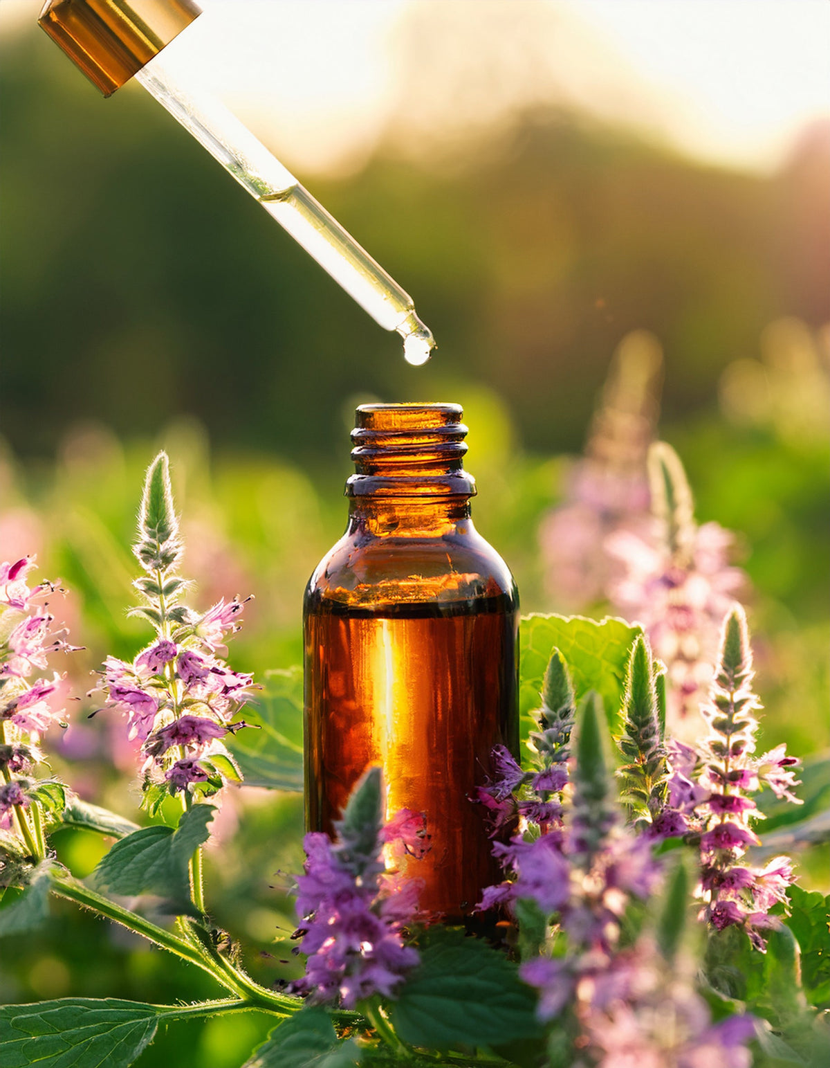 Élixirs Floraux Australian Bush Flower Essences® & Fleurs di Bach Guna®